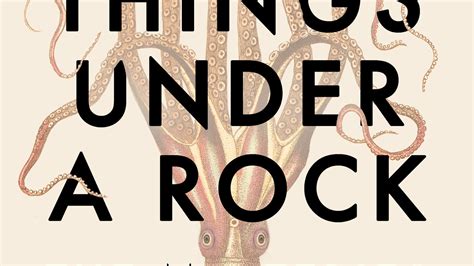 Many Things Under A Rock The Mysteries Of Octopuses By David Scheel