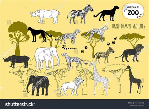 Savanna Animals Set Hand Drawn Vector Stock Vector (Royalty Free ...