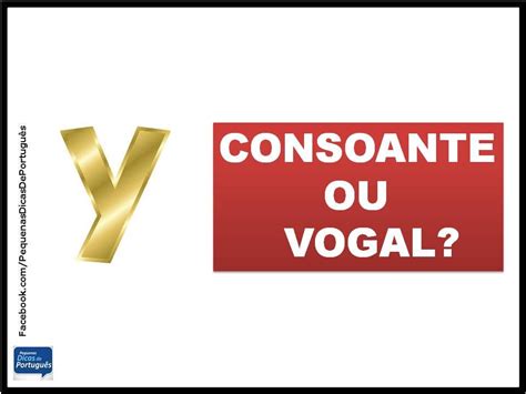 Y É Vogal Ou Consoante - Y é vogal ou consoante?... - Pequenas Dicas de Português | Facebook