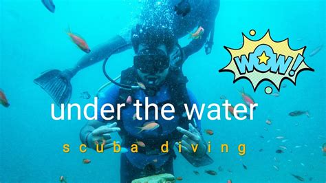 Scuba Diving North Bay Island Andaman Youtube