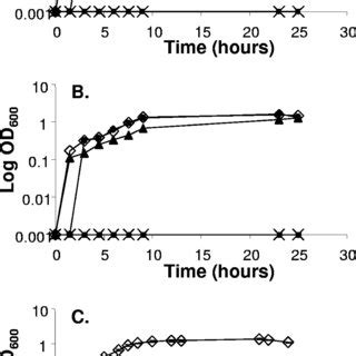 Growth Of Wild Type N Gonorrhoeae And The Mntab And Mntc Mutants