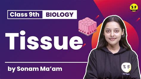 Class 9th Science Biology Tissue Class 9 Biology By Sonam Mam Science And Fun Youtube