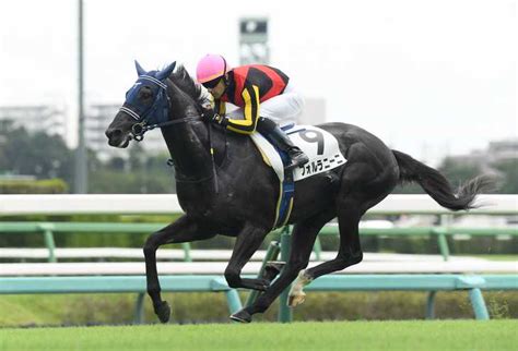 【2歳新馬・中山5r】フォルラニーニが直線突き離し完勝！ サンスポzbat