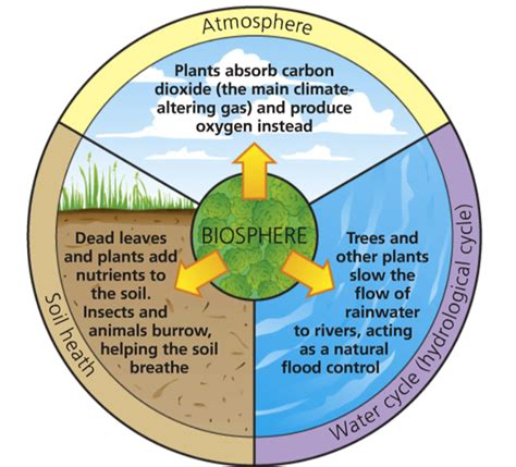 Biosphere Examples | www.pixshark.com - Images Galleries With A Bite!