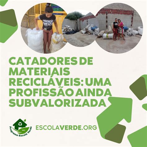 Catadores De Materiais Recicl Veis Uma Profiss O Ainda Subvalorizada