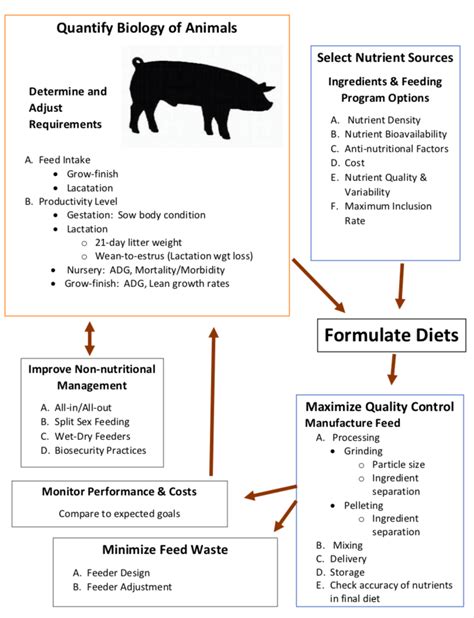 Formulating Farm Specific Swine Diets Umn Extension