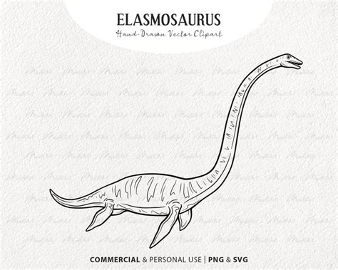 Elasmosaurus Dinosaur Svg Clipart Dinosaur Vector Line Art