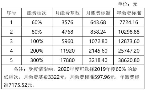 2020年度诸暨市灵活就业人员养老保险缴费档次公布 澎湃号政务 澎湃新闻 The Paper