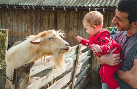 3 visites de fermes pédagogiques à ne pas manquer en Touraine et Poitou