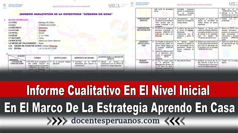 Pinchazo Espejo Decremento Ejemplo De Informe Cualitativo Oriental