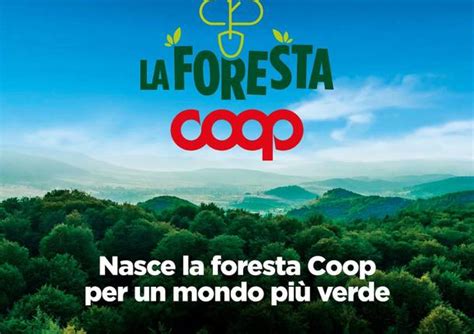 Alle Coop Di Varese E Busto Arsizio Si Presenta La Via Francisca