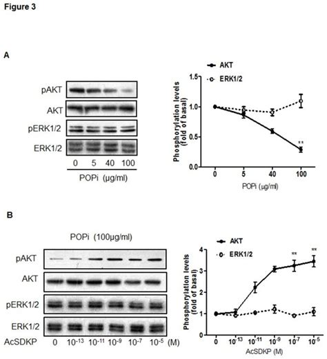 A Effect Of S17092 On The Phosphorylation Of Akt Ser473 And Erk12 Download Scientific