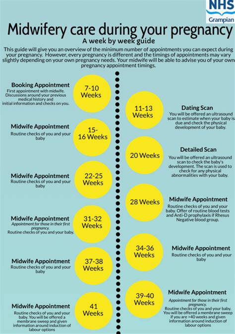 Care During Pregnancy Birth In Grampian