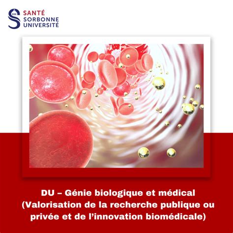 Du G Nie Biologique Et M Dical Formation Continue Sorbonne Universit