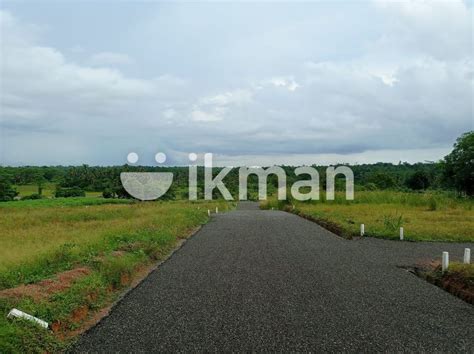 Land For Sale Kahathuduwa Ikman