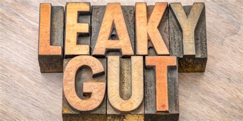 Testing For Leaky Gut Why Do It And Which Test Is Best