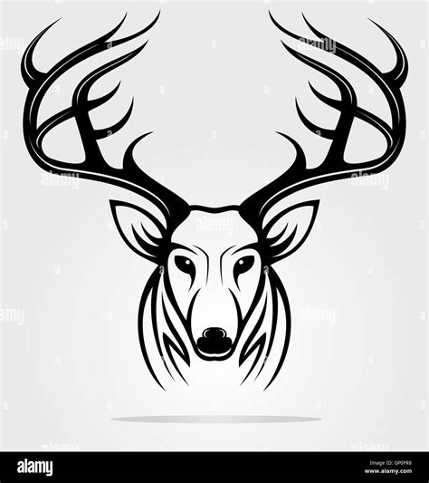 Deer Head Stock Vector Images Alamy