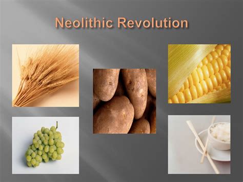 Ppt Neolithic Revolution From Hunter Gatherers To Farmers Powerpoint