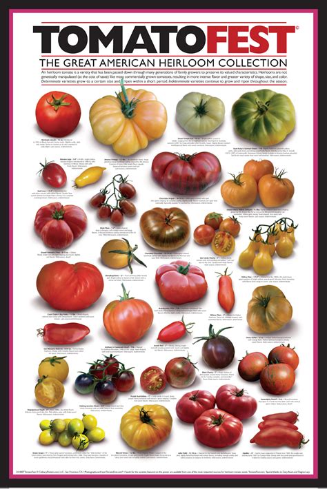 Tomato Poster Project 2022 Launches Kickstarter Campaign Digital Journal