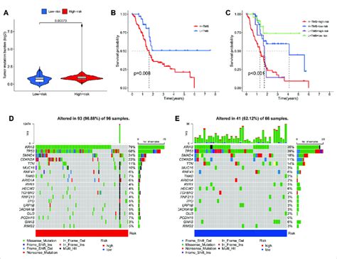 Correlation Of Risk Model With Tumor Mutation Burden In Paad A