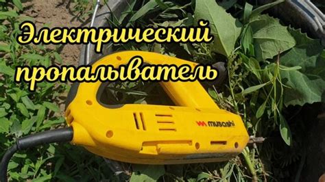 Электрический пропалыватель | Эпизоды из жизни учительницы | Дзен