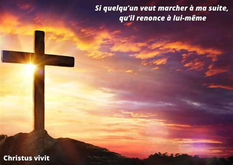 Homélie du 22ième dimanche du temps ordinaire année A Christus Vivit