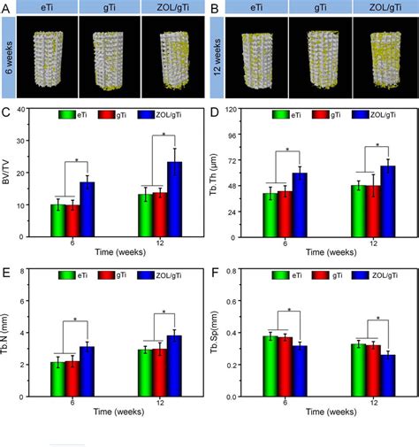 Defect Site Micro CT Analysis A B Representative 3D Reconstruction