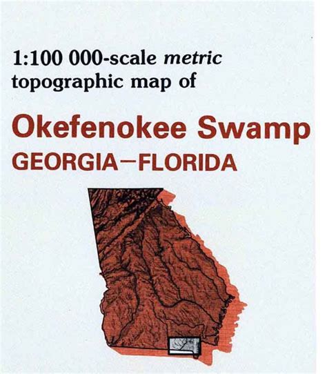 1980 Topo Map of Okefenokee Swamp Georgia Florida | Etsy