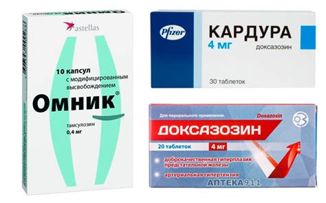 Сетегис: инструкция по применению, отзывы, цена и аналоги