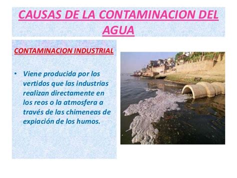 La Contaminacion Del Agua Diana