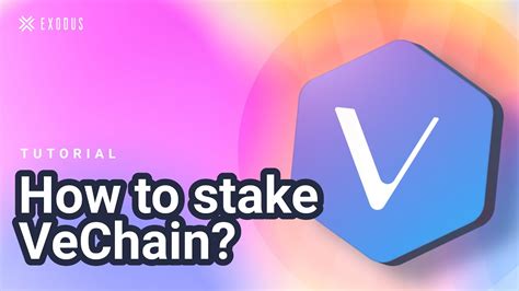 Vet Vechain Staking How To Stake Vechain Vet Earn Vtho Crypto Youtube