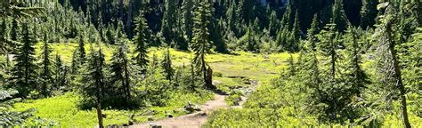 Pct Smith Brook To Stevens Pass Washington Alltrails