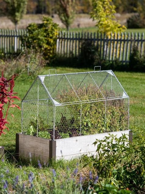 Chicken Wire Crop Coop Plant Protector Crop Cage