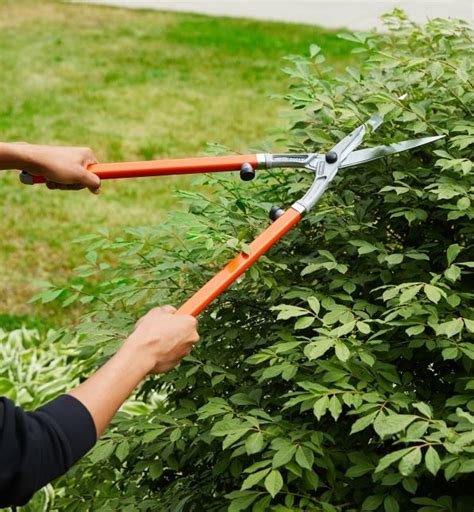 Long Handled Grass Shears Lee Valley Tools