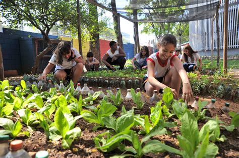 Horta na escola é saúde e aprendizado