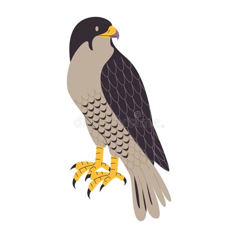 Shaheen Falcon Stock Illustrations – 3 Shaheen Falcon Stock Illustrations, Vectors & Clipart ...