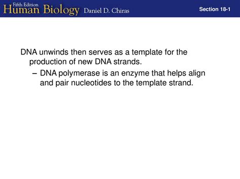 Chapter 18 How Genes Work And How Genes Are Controlled Ppt Download