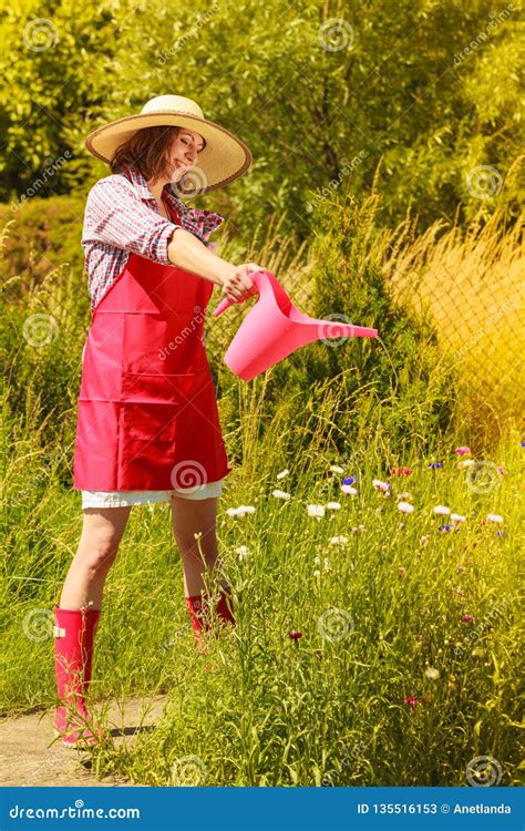 Woman Watering Plants In Garden Stock Image Image Of Cultivation