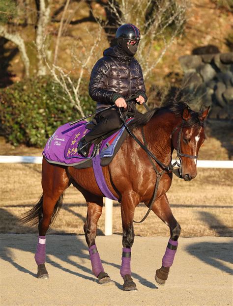 【注目馬動向】ドウデュースが京都記念へ本格的に始動 友道調教師「再来週はジョッキーで追い切ります」 Umatoku 馬トク