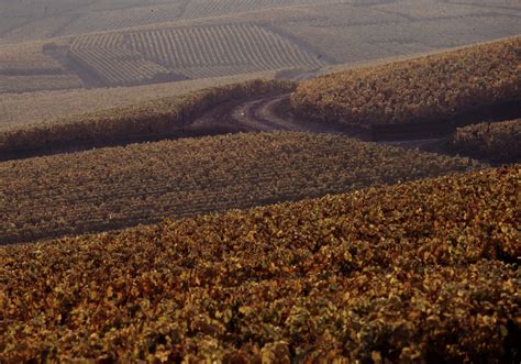 Champagne Jacques Pougeoise Et Fils Jmarie Pougeoise Orange Fr