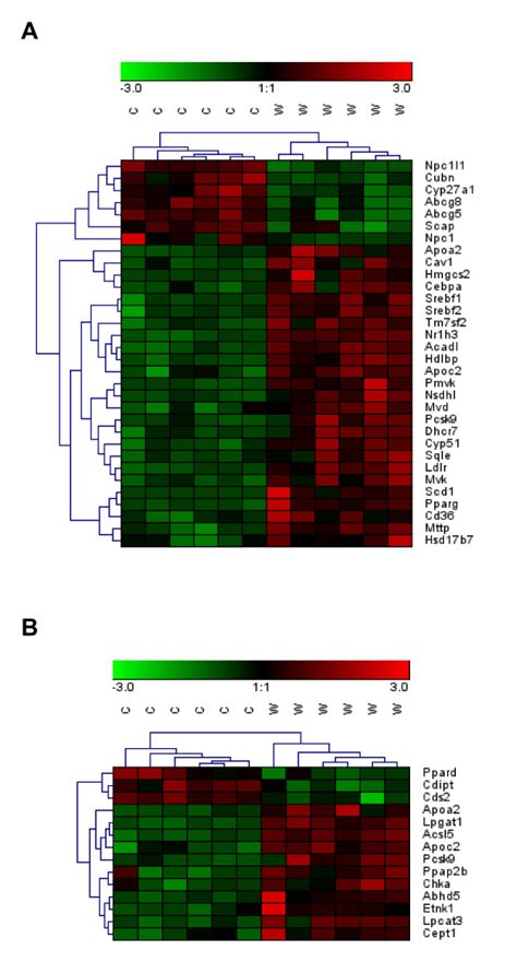 Heat Map Diagrams Of Differentially Expressed Genes In The Small