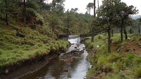 Conoce El Parque Nacional Cumbres Del Ajusco Y Sus Zonas Country