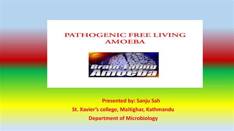 Acanthamoeba Ppt