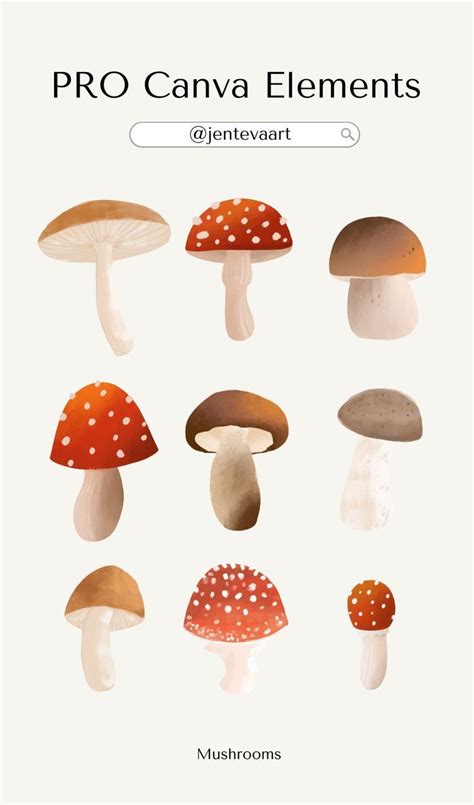 Elements Of Mushrooms Canvas Element Digital Watercolor