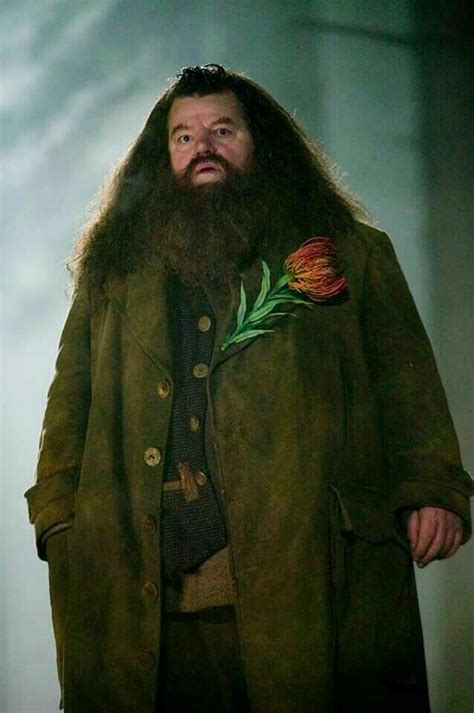 Pin De Rumeysa En ϟ Harry Potter ϟ Fotos De Harry Potter Personajes