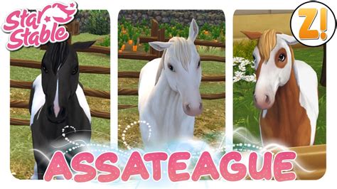 Star Stable SSO Das Assateague Pony Remake PFERDEKAUF DEUTSCH