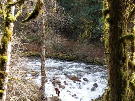 Railroad Grade To Woody Trail Loop — Wallace Falls State Park Hike