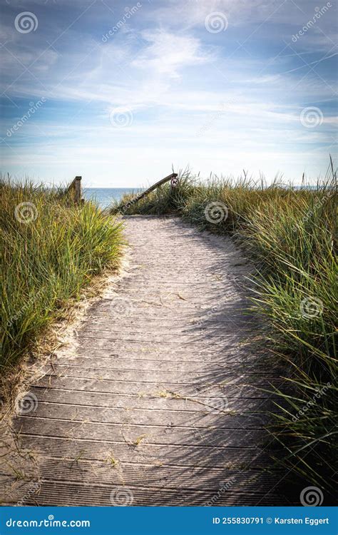 Sandy Path Leads Over The Dunes To The Baltic Sea Beach Stock Image