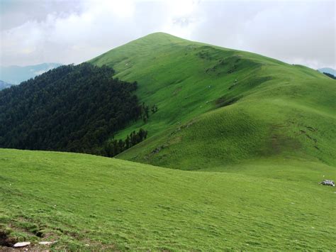 Roopkund Trek - Ali Bugyal-3 - India Travel Forum | IndiaMike.com