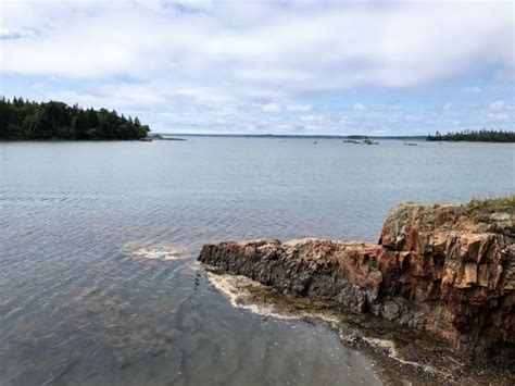 Hiking in Maine: Explore the beauty of Roque Bluffs State Park